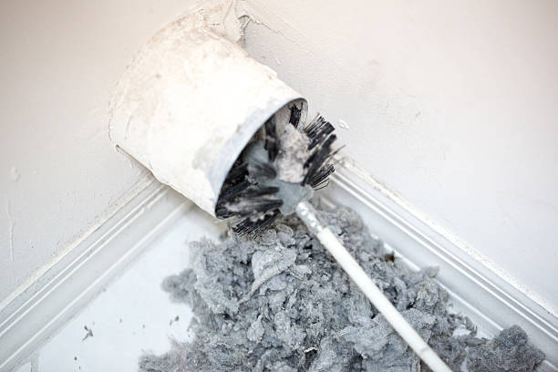 Best Air Duct Mold Removal  in Carencro, LA